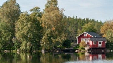 Rozwój przemysłu drzewnego w Szwecji wspierany przez produkty Wood-Mizer